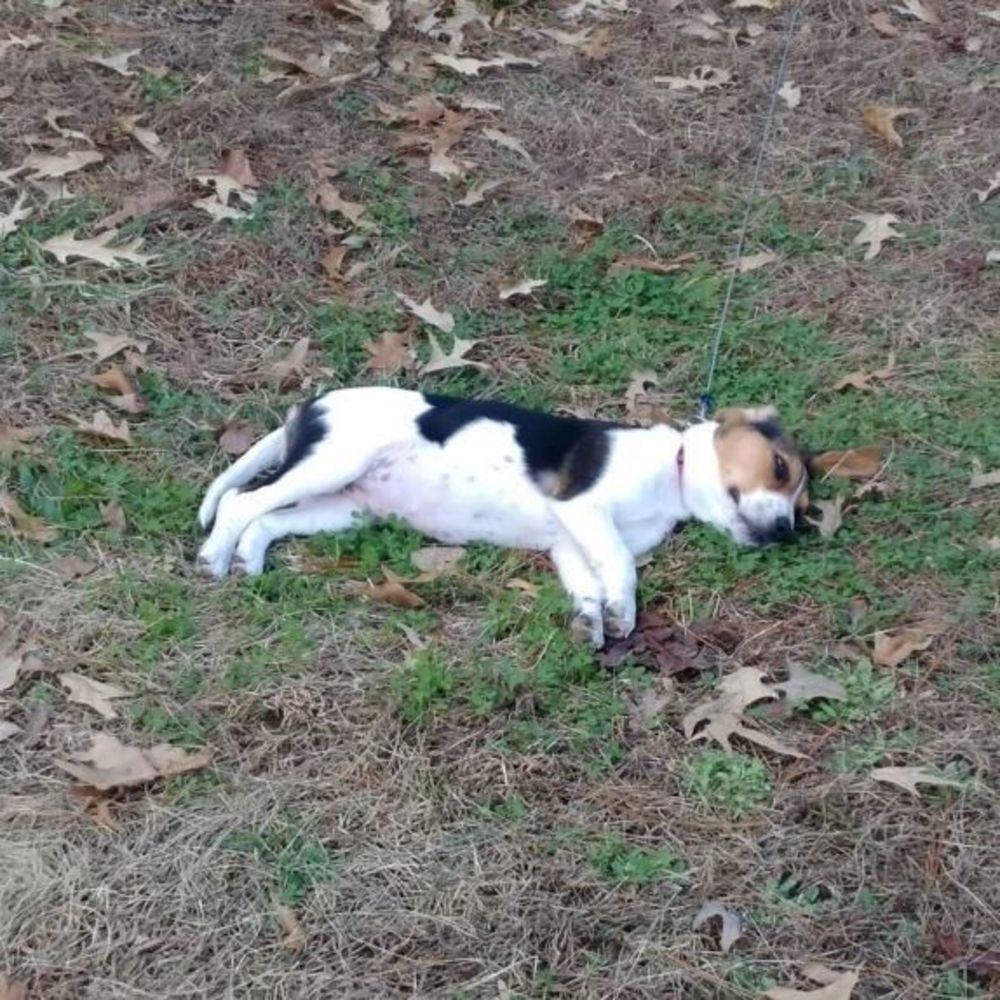 Meet your Posher, Teresa